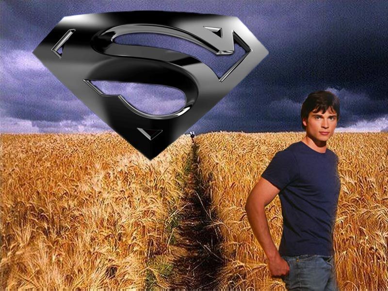 Clark Kent In The Field Wallpaper 800x600