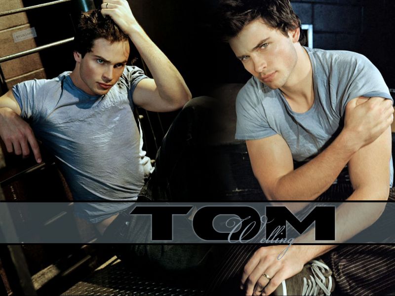 Tom Welling Gray Shirt Portrait Wallpaper 800x600